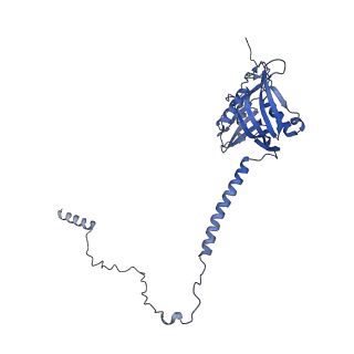 29254_8fkr_SO_v1-1
Human nucleolar pre-60S ribosomal subunit (State B1)