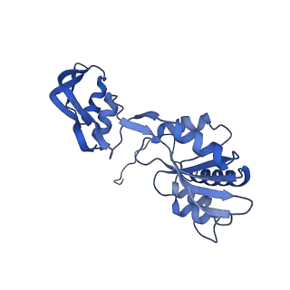 29254_8fkr_SQ_v1-1
Human nucleolar pre-60S ribosomal subunit (State B1)