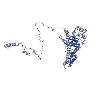 29254_8fkr_SR_v1-1
Human nucleolar pre-60S ribosomal subunit (State B1)