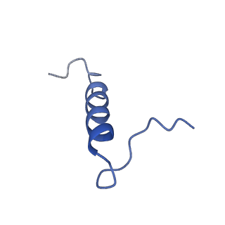 29254_8fkr_ST_v1-1
Human nucleolar pre-60S ribosomal subunit (State B1)