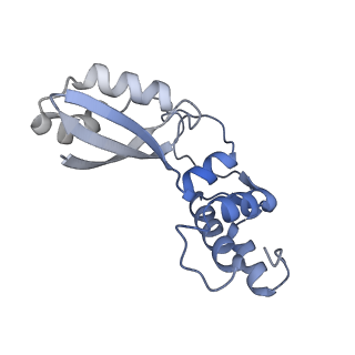 29255_8fks_BA_v1-1
Human nucleolar pre-60S ribosomal subunit (State B2)