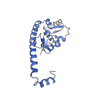29255_8fks_L7_v1-1
Human nucleolar pre-60S ribosomal subunit (State B2)