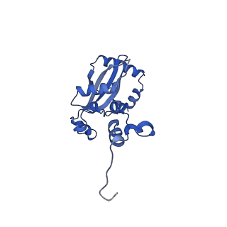29255_8fks_L9_v1-1
Human nucleolar pre-60S ribosomal subunit (State B2)