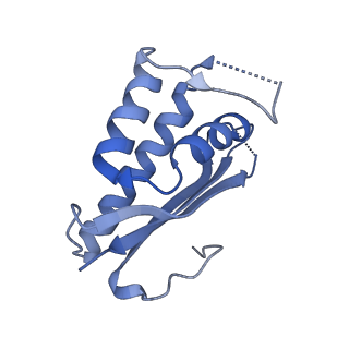 29255_8fks_LA_v1-1
Human nucleolar pre-60S ribosomal subunit (State B2)