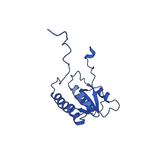 29255_8fks_LB_v1-1
Human nucleolar pre-60S ribosomal subunit (State B2)
