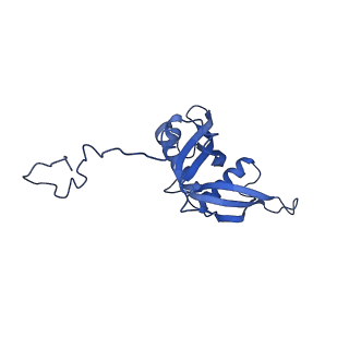 29255_8fks_LC_v1-1
Human nucleolar pre-60S ribosomal subunit (State B2)