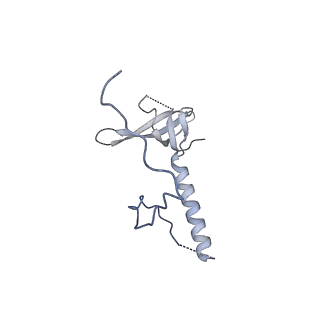 29255_8fks_LE_v1-1
Human nucleolar pre-60S ribosomal subunit (State B2)
