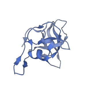 29255_8fks_LG_v1-1
Human nucleolar pre-60S ribosomal subunit (State B2)