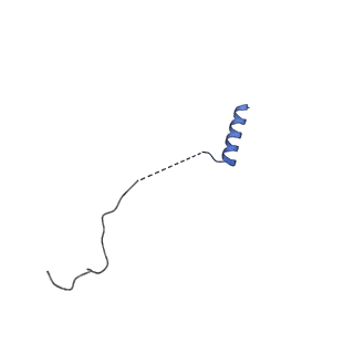 29255_8fks_LH_v1-1
Human nucleolar pre-60S ribosomal subunit (State B2)