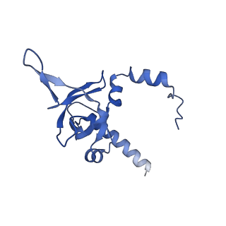 29255_8fks_LI_v1-1
Human nucleolar pre-60S ribosomal subunit (State B2)