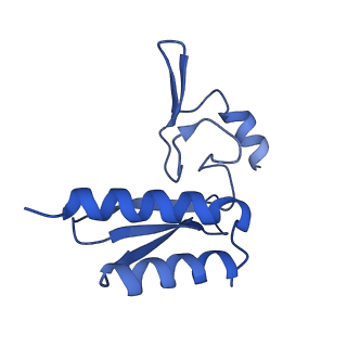 29255_8fks_LL_v1-1
Human nucleolar pre-60S ribosomal subunit (State B2)