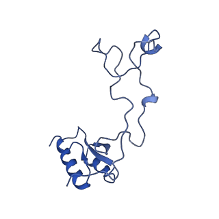 29255_8fks_LQ_v1-1
Human nucleolar pre-60S ribosomal subunit (State B2)