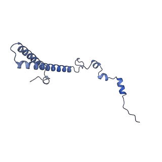 29255_8fks_LS_v1-1
Human nucleolar pre-60S ribosomal subunit (State B2)