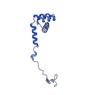 29255_8fks_LU_v1-1
Human nucleolar pre-60S ribosomal subunit (State B2)