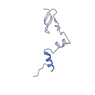 29255_8fks_LW_v1-1
Human nucleolar pre-60S ribosomal subunit (State B2)