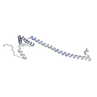 29255_8fks_NE_v1-1
Human nucleolar pre-60S ribosomal subunit (State B2)