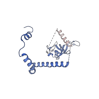 29255_8fks_NF_v1-1
Human nucleolar pre-60S ribosomal subunit (State B2)
