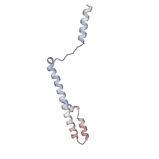 29255_8fks_NG_v1-1
Human nucleolar pre-60S ribosomal subunit (State B2)