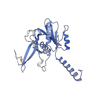 29255_8fks_NN_v1-1
Human nucleolar pre-60S ribosomal subunit (State B2)