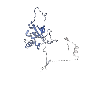 29255_8fks_SC_v1-1
Human nucleolar pre-60S ribosomal subunit (State B2)