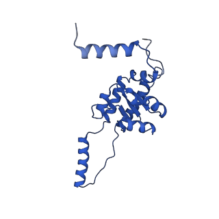 29255_8fks_SE_v1-1
Human nucleolar pre-60S ribosomal subunit (State B2)