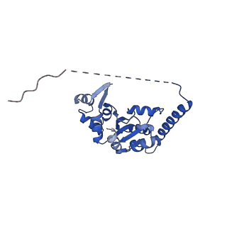 29255_8fks_SI_v1-1
Human nucleolar pre-60S ribosomal subunit (State B2)