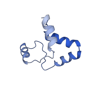 29255_8fks_SJ_v1-1
Human nucleolar pre-60S ribosomal subunit (State B2)