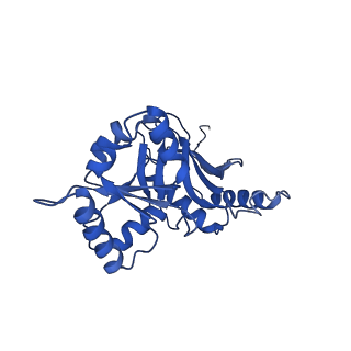 29255_8fks_SL_v1-1
Human nucleolar pre-60S ribosomal subunit (State B2)
