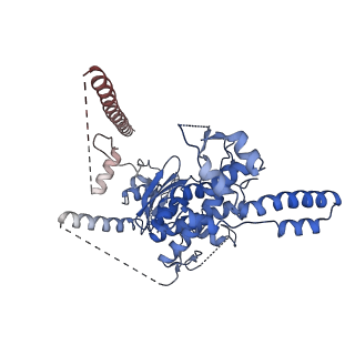 29255_8fks_SM_v1-1
Human nucleolar pre-60S ribosomal subunit (State B2)