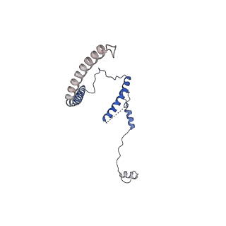 29255_8fks_SN_v1-1
Human nucleolar pre-60S ribosomal subunit (State B2)