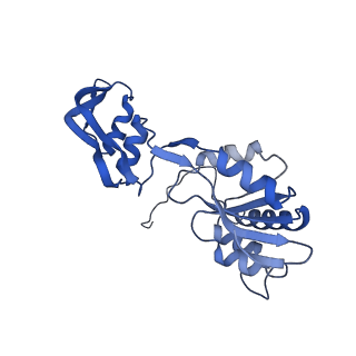29255_8fks_SQ_v1-1
Human nucleolar pre-60S ribosomal subunit (State B2)