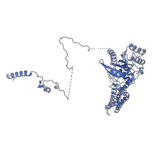 29255_8fks_SR_v1-1
Human nucleolar pre-60S ribosomal subunit (State B2)