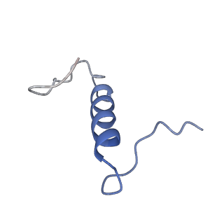 29255_8fks_ST_v1-1
Human nucleolar pre-60S ribosomal subunit (State B2)