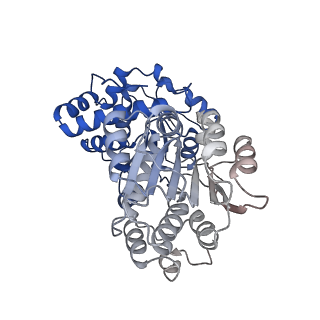 29255_8fks_SW_v1-1
Human nucleolar pre-60S ribosomal subunit (State B2)