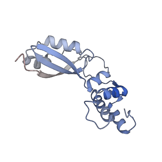 29256_8fkt_BA_v1-1
Human nucleolar pre-60S ribosomal subunit (State C1)