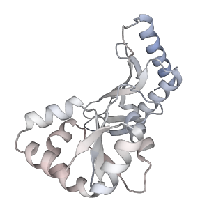 29256_8fkt_BB_v1-1
Human nucleolar pre-60S ribosomal subunit (State C1)