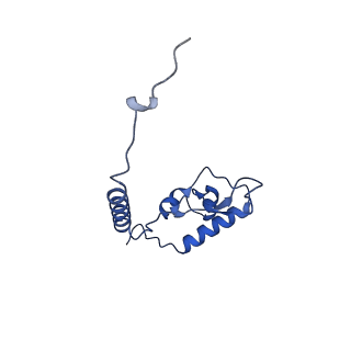 29256_8fkt_L6_v1-1
Human nucleolar pre-60S ribosomal subunit (State C1)