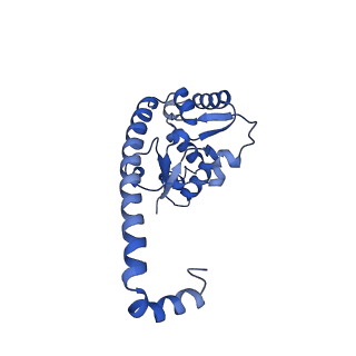 29256_8fkt_L7_v1-1
Human nucleolar pre-60S ribosomal subunit (State C1)