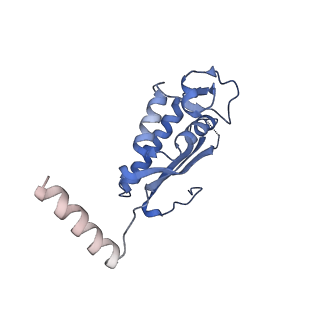 29256_8fkt_LA_v1-1
Human nucleolar pre-60S ribosomal subunit (State C1)