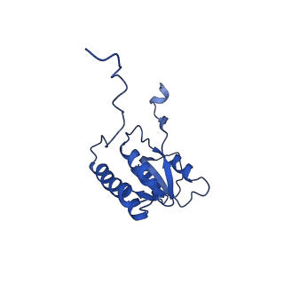 29256_8fkt_LB_v1-1
Human nucleolar pre-60S ribosomal subunit (State C1)