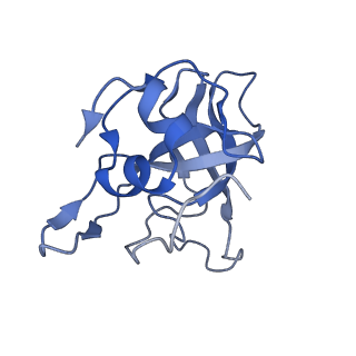 29256_8fkt_LG_v1-1
Human nucleolar pre-60S ribosomal subunit (State C1)