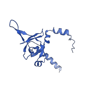 29256_8fkt_LI_v1-1
Human nucleolar pre-60S ribosomal subunit (State C1)