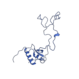 29256_8fkt_LQ_v1-1
Human nucleolar pre-60S ribosomal subunit (State C1)