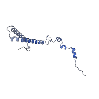 29256_8fkt_LS_v1-1
Human nucleolar pre-60S ribosomal subunit (State C1)