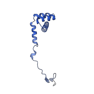 29256_8fkt_LU_v1-1
Human nucleolar pre-60S ribosomal subunit (State C1)