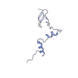 29256_8fkt_LW_v1-1
Human nucleolar pre-60S ribosomal subunit (State C1)