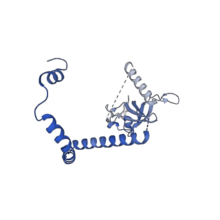 29256_8fkt_NF_v1-1
Human nucleolar pre-60S ribosomal subunit (State C1)