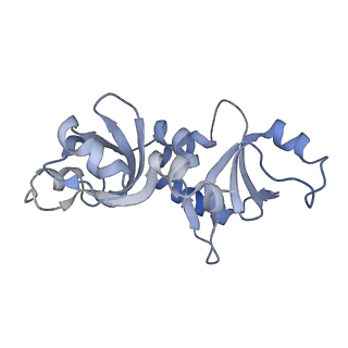 29256_8fkt_NH_v1-1
Human nucleolar pre-60S ribosomal subunit (State C1)