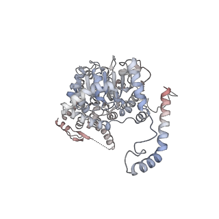 29256_8fkt_NI_v1-1
Human nucleolar pre-60S ribosomal subunit (State C1)