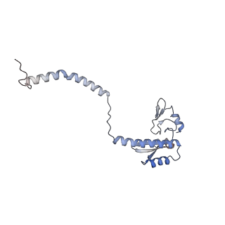 29256_8fkt_NM_v1-1
Human nucleolar pre-60S ribosomal subunit (State C1)